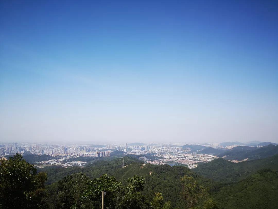 微信图片_20191204110831.jpg