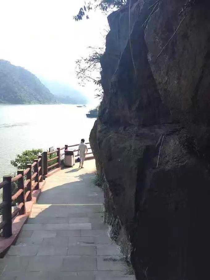 微信图片_20191204120401.jpg 微信图片_20191204120401.jpg