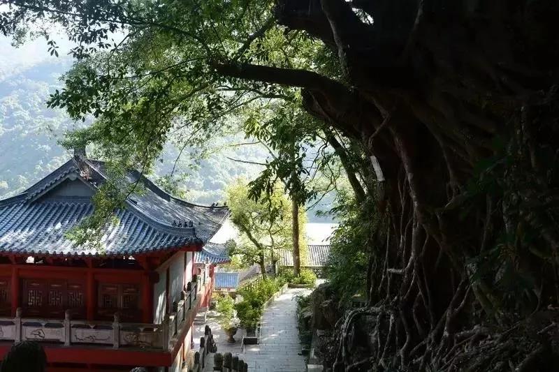 微信图片_20191204165845.jpg