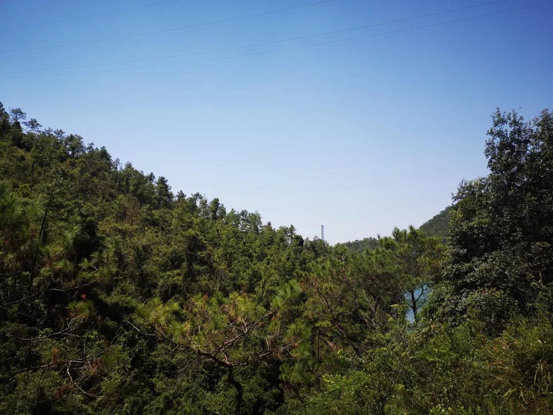 微信图片_20191204110812.jpg