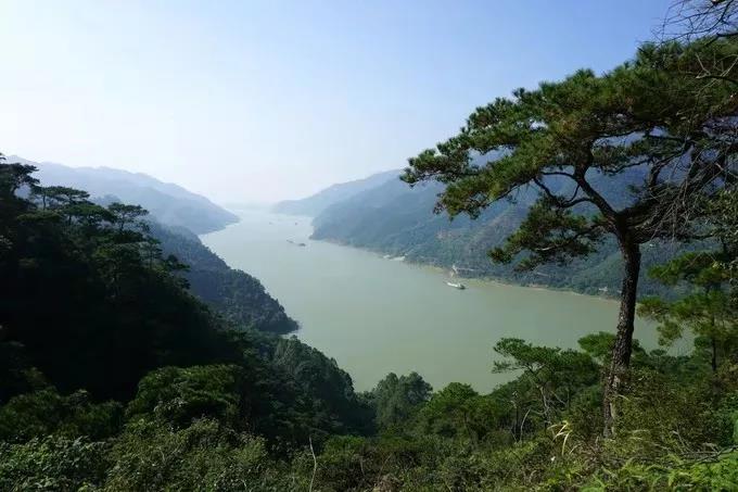 微信图片_20191204120341.jpg 微信图片_20191204120341.jpg