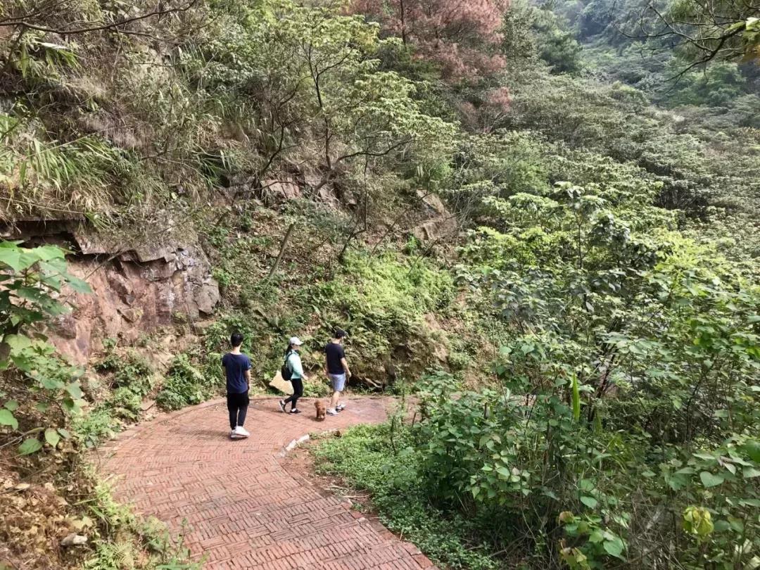 微信图片_20191204165818.jpg
