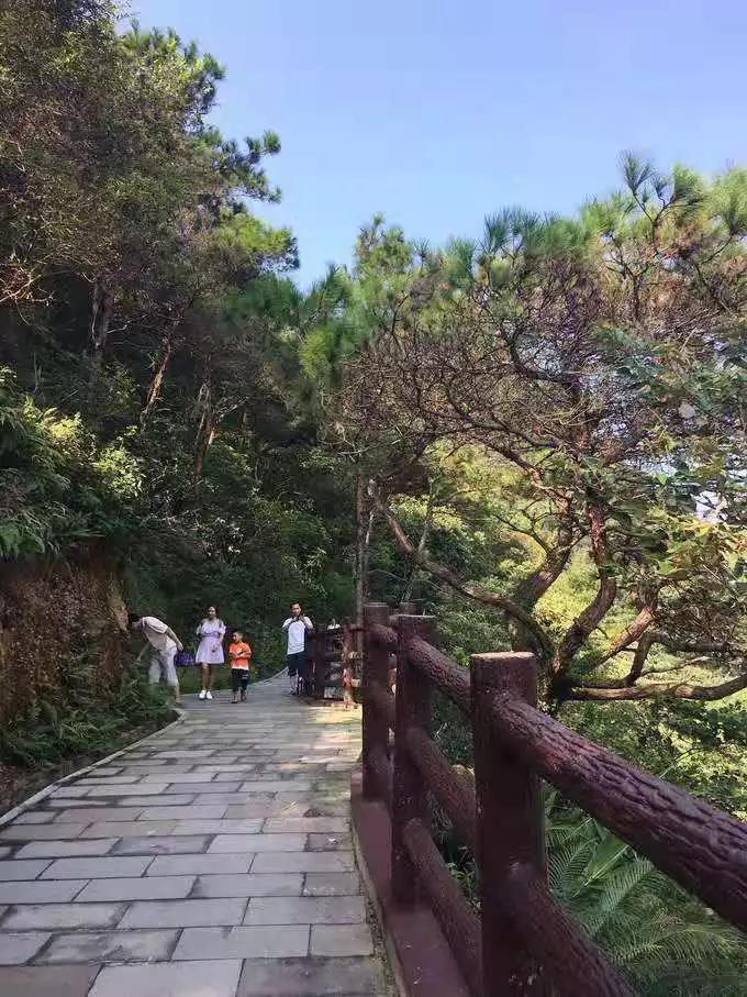 微信图片_20191204120404.jpg 微信图片_20191204120404.jpg